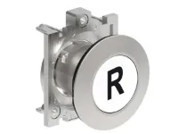 B.P. PLAT AFFLEURANT METAL. MOMENT. AVEC 'R' BLANC