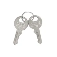 COUPLE DE CLES DE RECHANGE POUR SELECTEUR OU BOUTON COUP-DE-POING