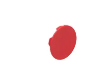 CAPUCHON POUR BOUTON AFFLEURANT A IMPULSION ET POUSSER-POUSSER STABLE ROUGE