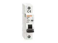 DISJONCTEUR MAGNETOTHERMIQUE UL1077 1P COURBE B 25A