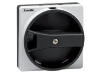 POIGNEE CADENASSABLE NOIRE FIXATION A VIS NEMA4X