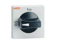 POIGNEE CADENASSABLE NOIRE FIXATION A ECROU NEMA4X